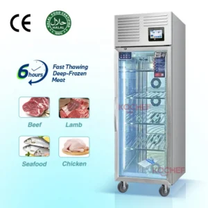 Thawing Equipment, PLC, 160 - 880L