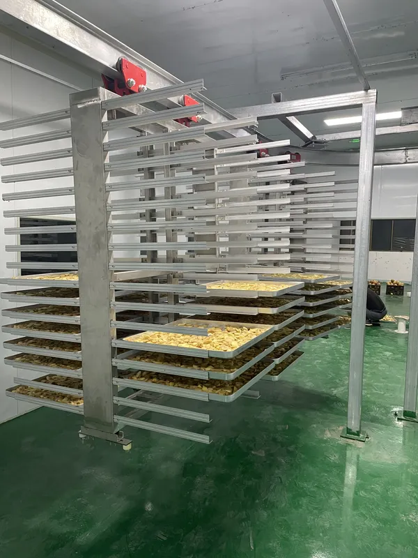 Thawing Equipment, Stainless, Steel - view 3
