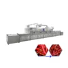 Thawing Equipment, SUS304, Drying Oven