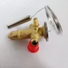 Thermostatic Expansion Valve, 067N7007 - view 2