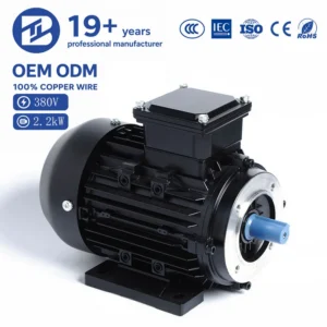 Three-phase Asynchronous Induction Motor, BIOTE, 1.5KW, 2.2KW