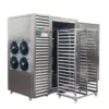 Trays Freezer, 100kg, 2500 - view 6