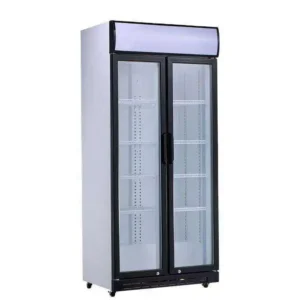 Two-glass Door Display Freezer, 590L, 500 - 599 L, Electric
