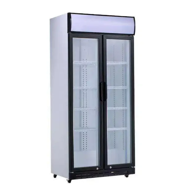 Two-glass Door Display Freezer, 590L, 500 - 599 L, Electric