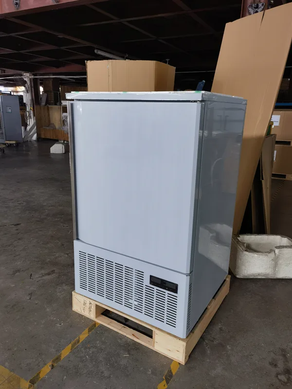 Upright Reach-in Blast Chiller, Stainless, Steel - view 4