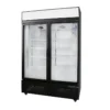 Vertical Beer Beverage Cooler, 220 V