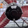 Wall Fan, 52-Inch, Centrifugal, WEG - view 3