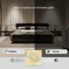 Wall Fan, Tempered Glass - view 3