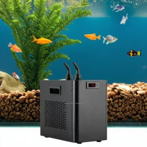 Water Chiller, 1/3Hp, 300L
