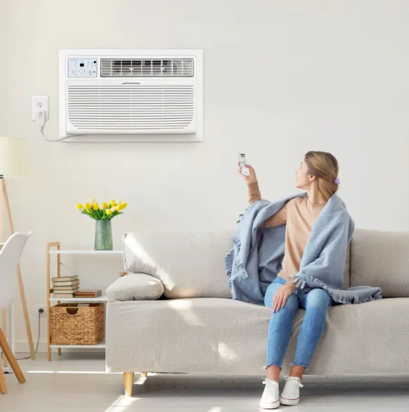 Window Air Conditioner, TCL, GREE, 11900, 20999 - view 6