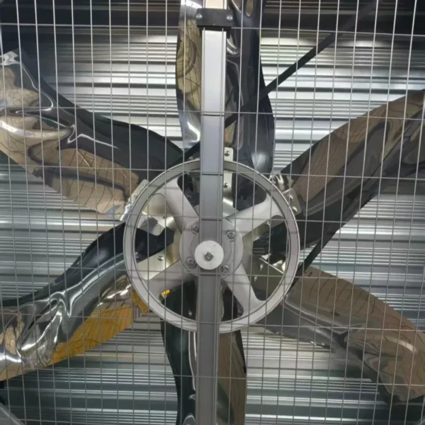 Xt-1000 Centrifugal Exhaust Fan, XMY, Wall - view 2