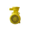 Ybx3-100l2-4 Electric Motor, 3-315KW, IP55/IP65 - view 5