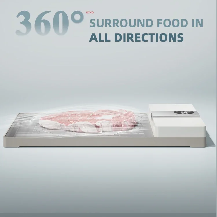 Thawing Equipment, ABS+Aluminum Plate, Meat & Poultry Tools - detail 16