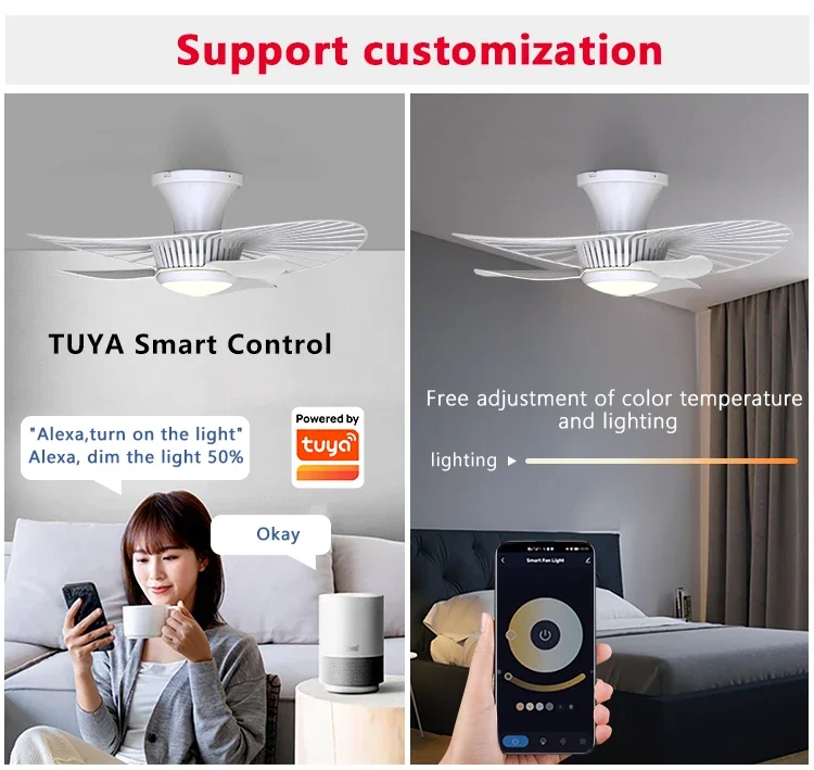 Ceiling Fan, LED, 22, Plastic - detail 24