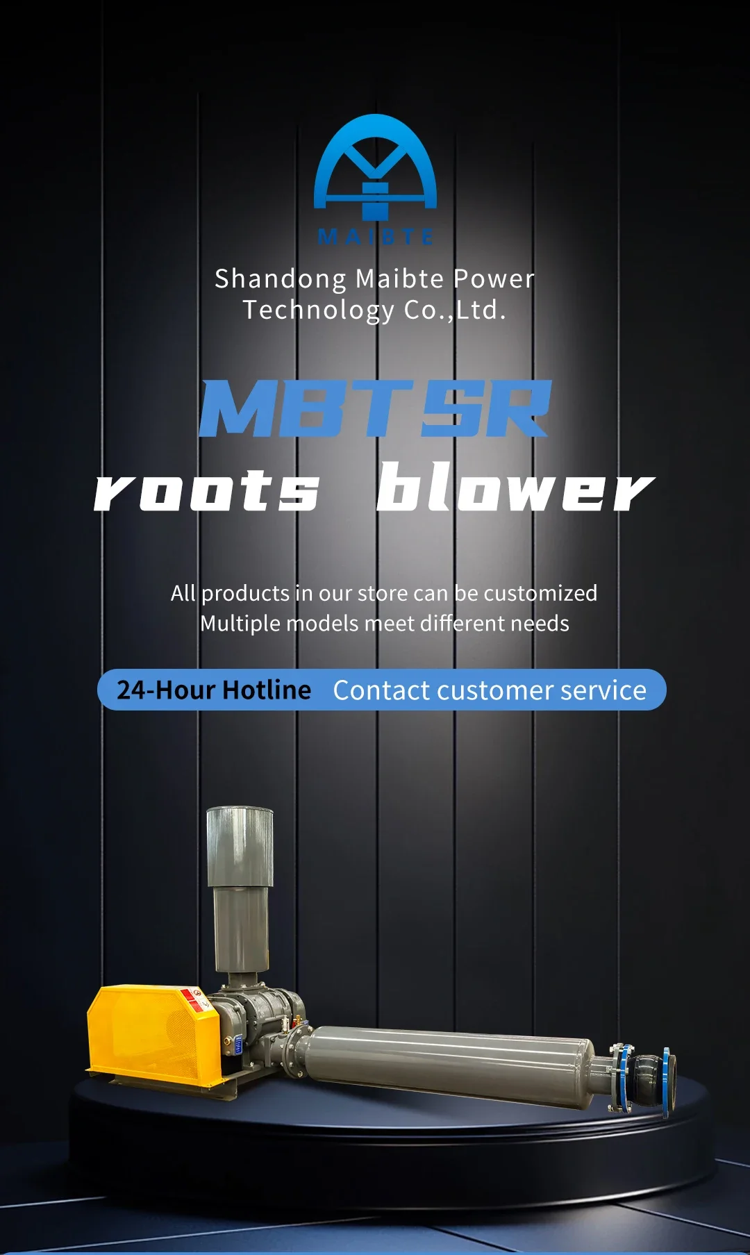Roots Blower, 1000m/h, Cast, ATEX - detail 2