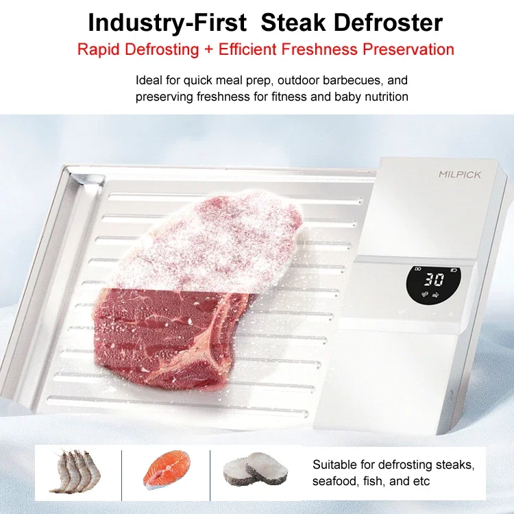 Thawing Equipment, ABS+Aluminum Plate, Meat & Poultry Tools - detail 2