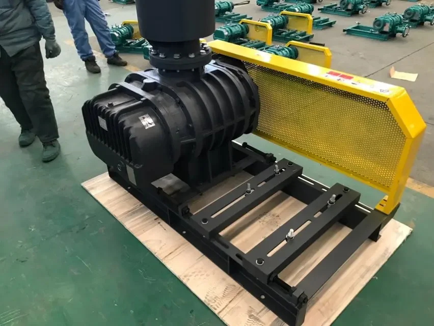 Roots Blower, 10hp, rotary aerator, 2" - detail 12