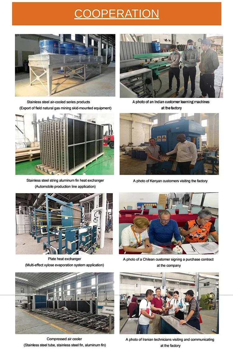 Doublewall Gasket, Stainless Steel, plate Heat Exchanger - detail 8