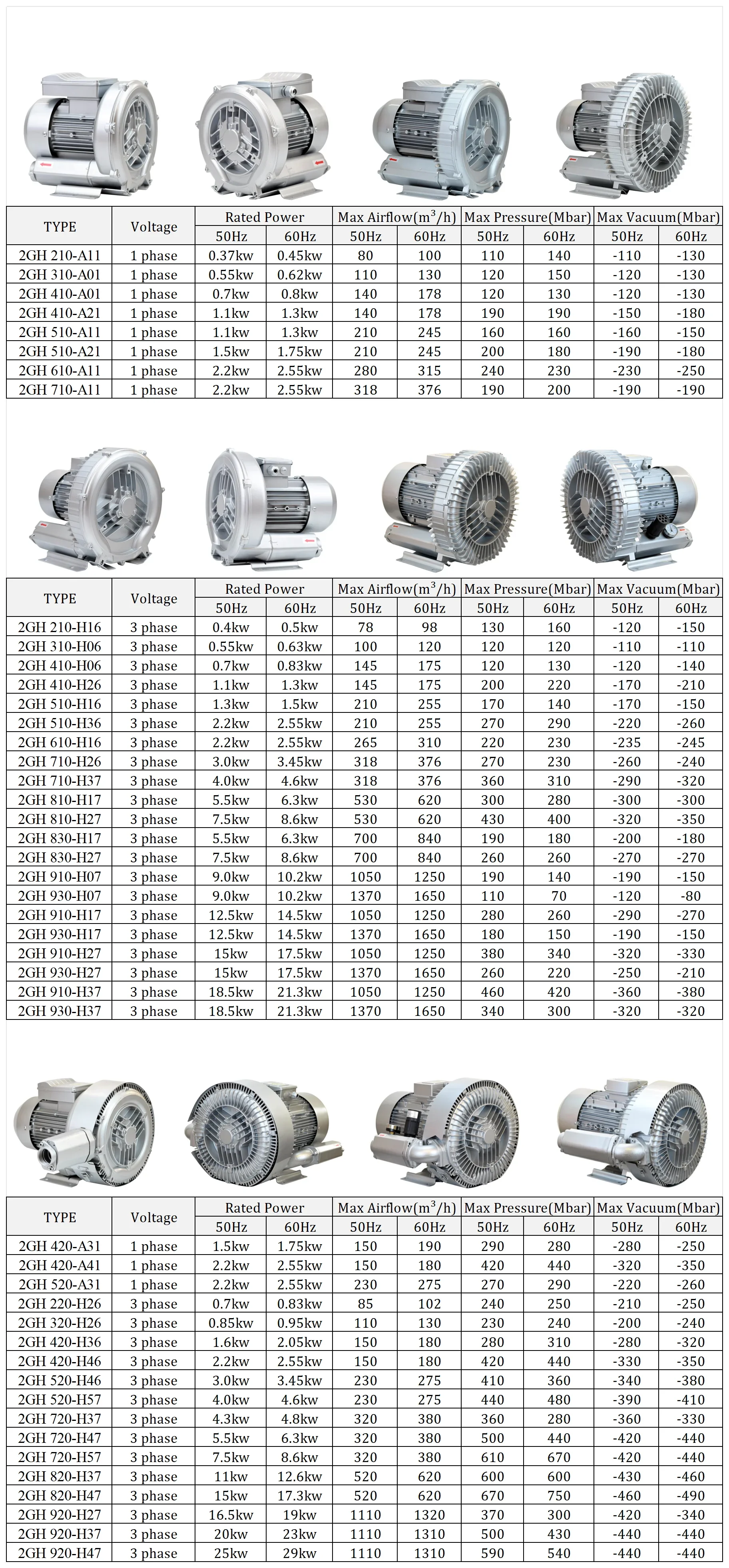 Ring Blower, 0.37KW, 220V, 100%, Copper - detail 10