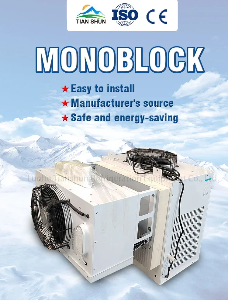 Modern Monoblock Condensing Unit, 220v, R404a or R134a - detail 2