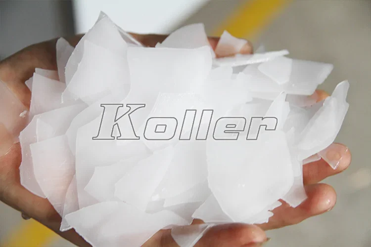 Ice Machine, 20000, Stainless Steel, R22 R404a - detail 18