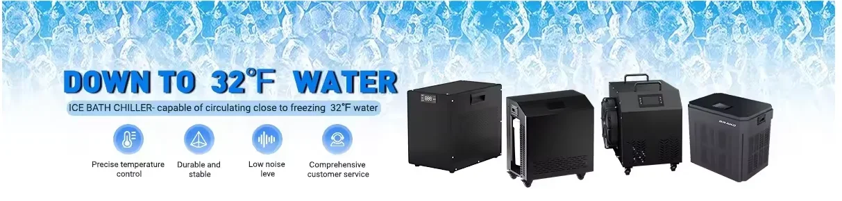 Plunge Pool Water Cooler, 0.6hp, 106-127V, 810W - detail 2