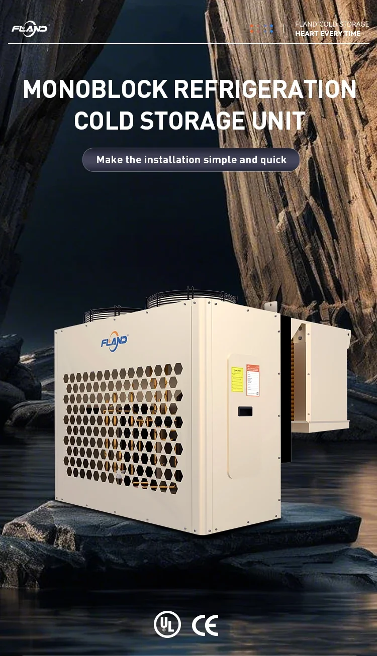 Condensing Unit, 220 V, R507A - detail 2
