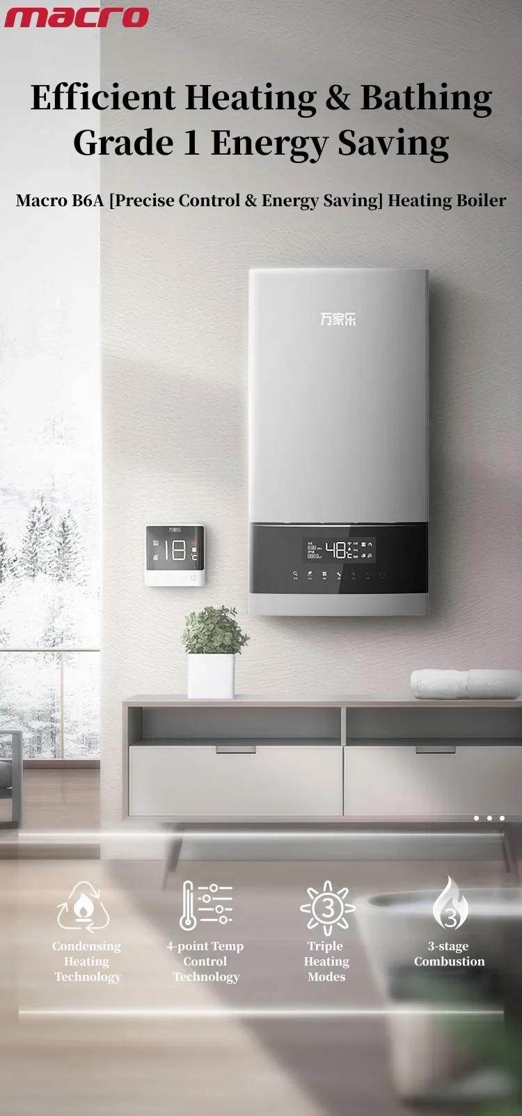 Wall-mounted Natural Gas Boiler, Stainless, Steel - detail 2