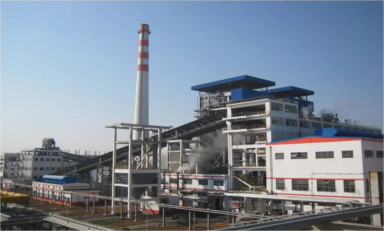 Fired High Pressure Boiler, Natural Circulation, 1 Year - detail 10