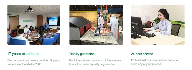 Chicken Gas Brooder Heater, 110, 2.5KW - detail 16