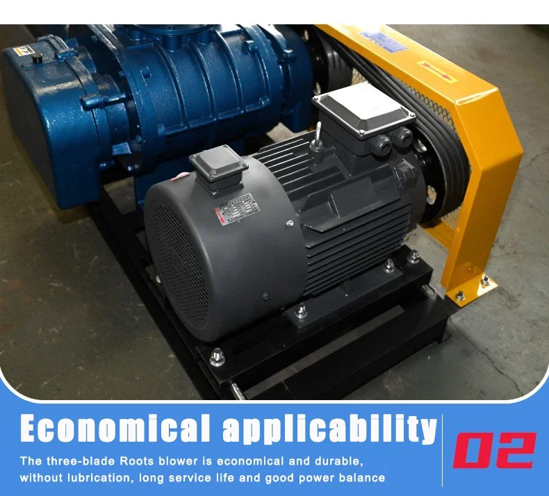 Roots Blower, 1250, ZA-202 - detail 12