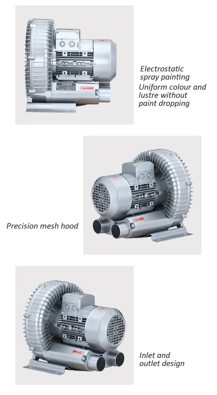 High Pressure Regenerative Blower, 2.2kW, 380V - detail 6