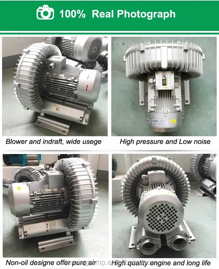 Ring Blower, HG-750, 220 V, Electric Blower - detail 6