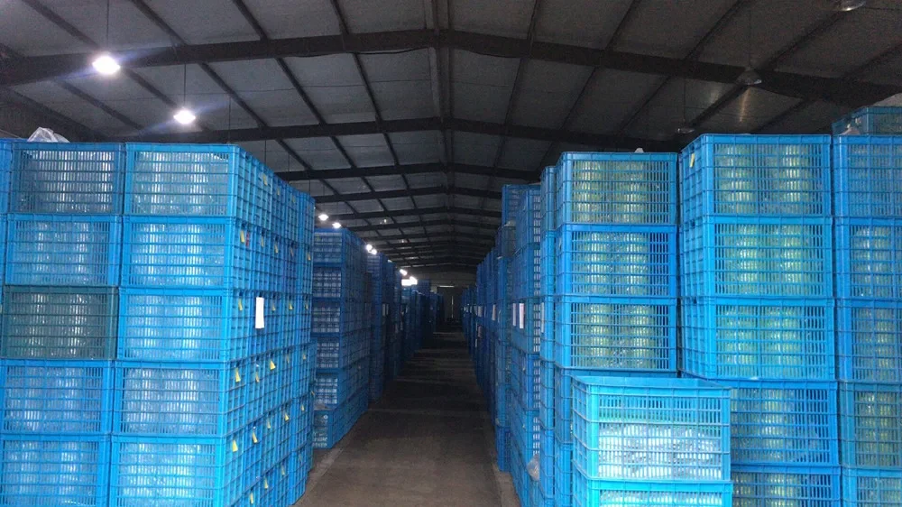 Thawing Equipment, Silicone Rubber, BX-644 - detail 32