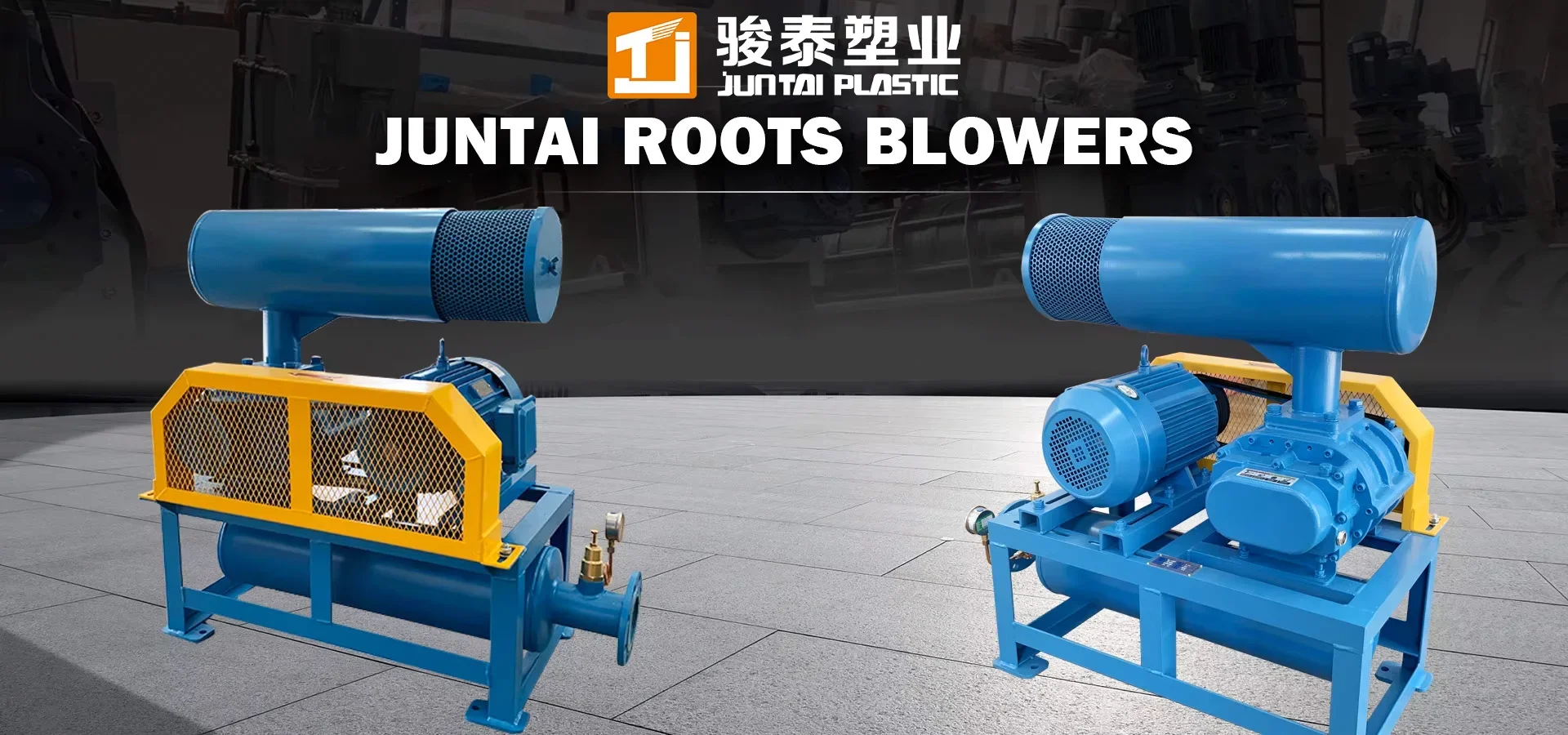 Roots Blower, 220 V, Electric - detail 2