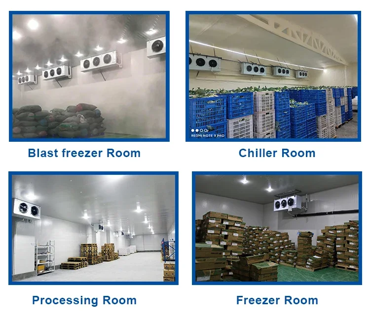 Blast Freezer, IQF, 220V-380V, R-410A - detail 20
