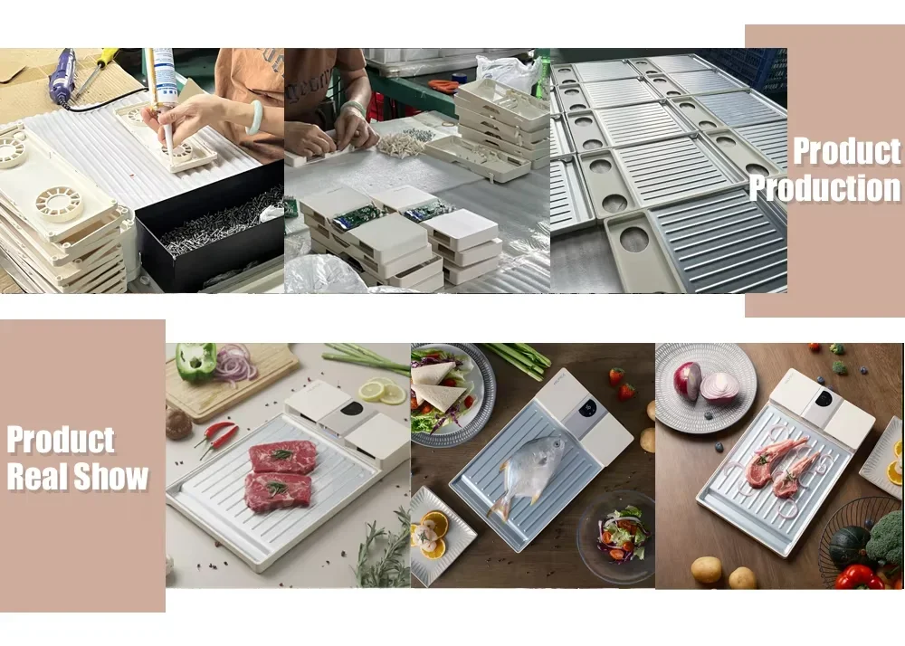 Thawing Equipment, ABS+Aluminum Plate, Meat & Poultry Tools - detail 22