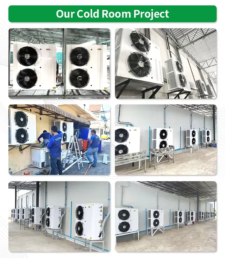 Condensing Unit, 380 V, -20degree - detail 16