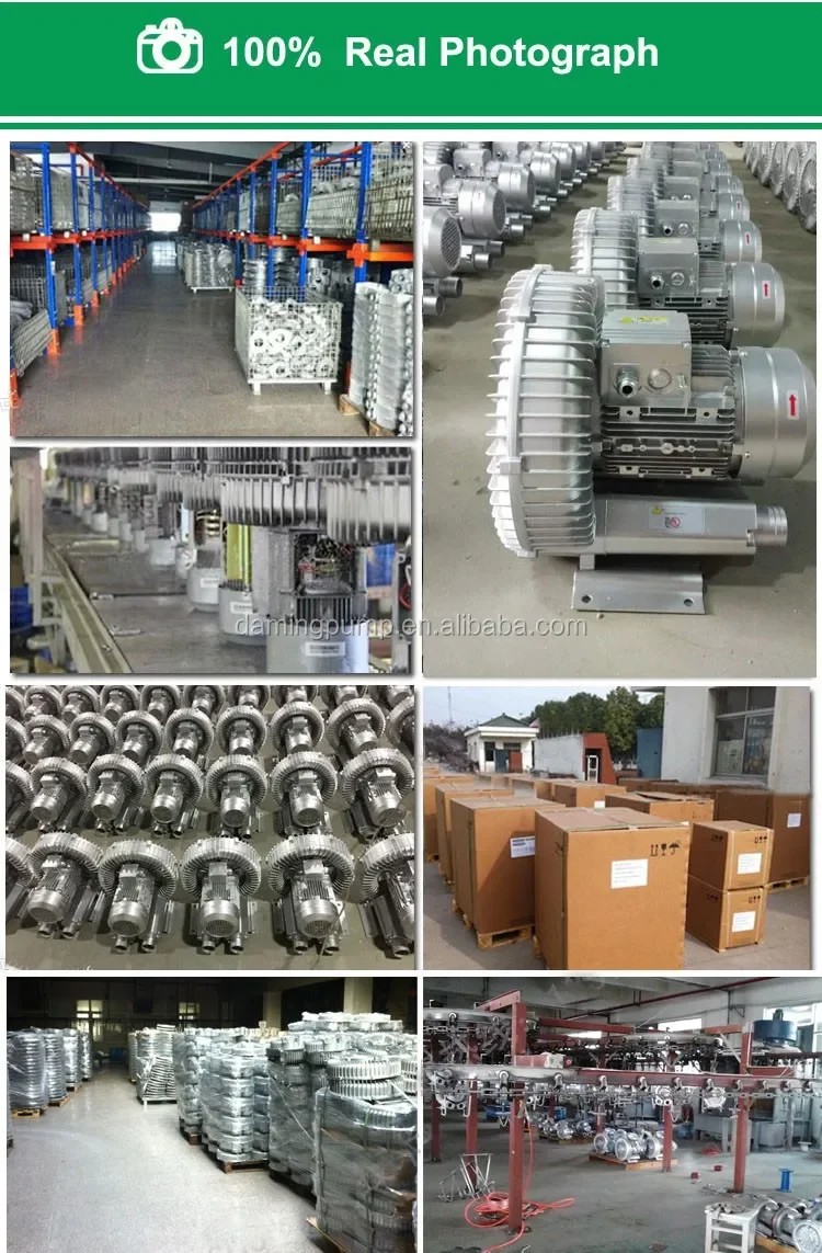 Ring Blower, HG-750, 220 V, Electric Blower - detail 16