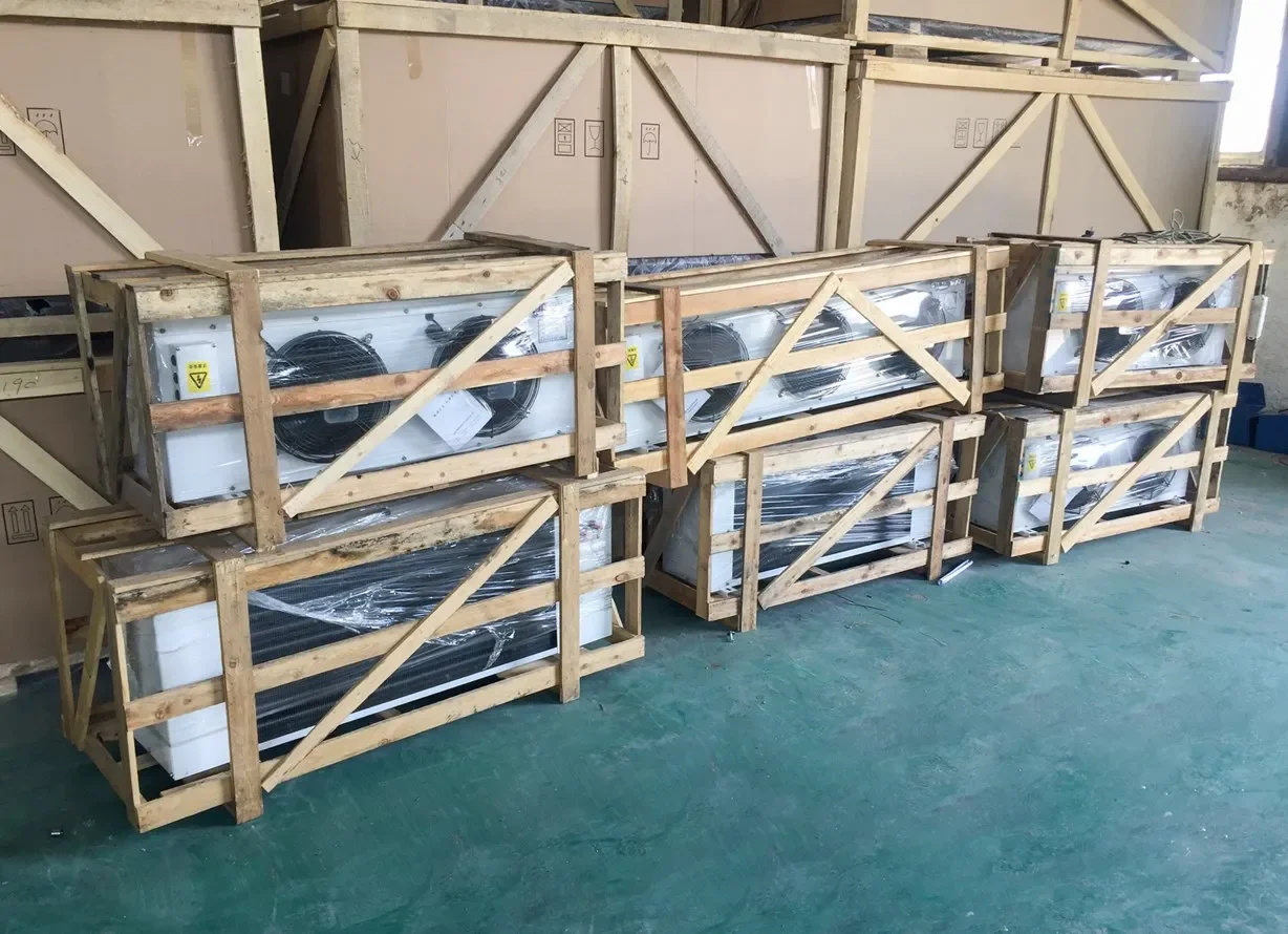 Condensing Unit, Monoblock, 110V, -22- 8℃ - detail 40