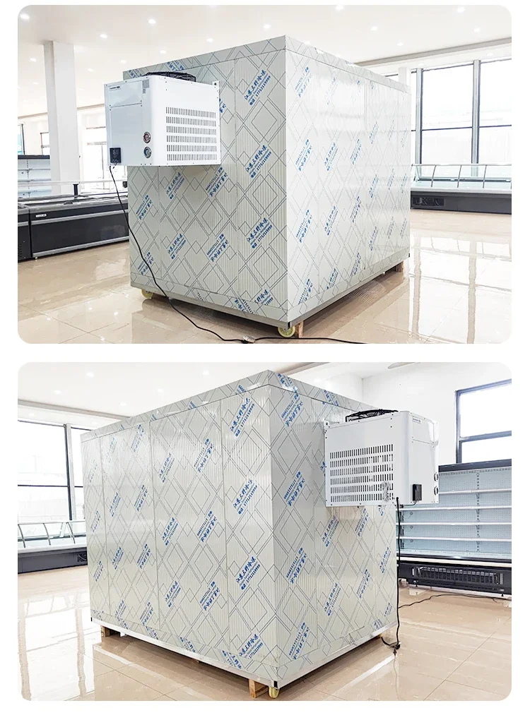 Condensing Unit, Monoblock, 110V, -22- 8℃ - detail 20