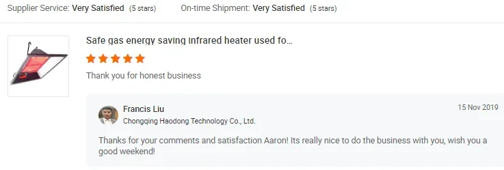 Gas Heater, THD2606, N, 2.5KW(3.35hp) - detail 8