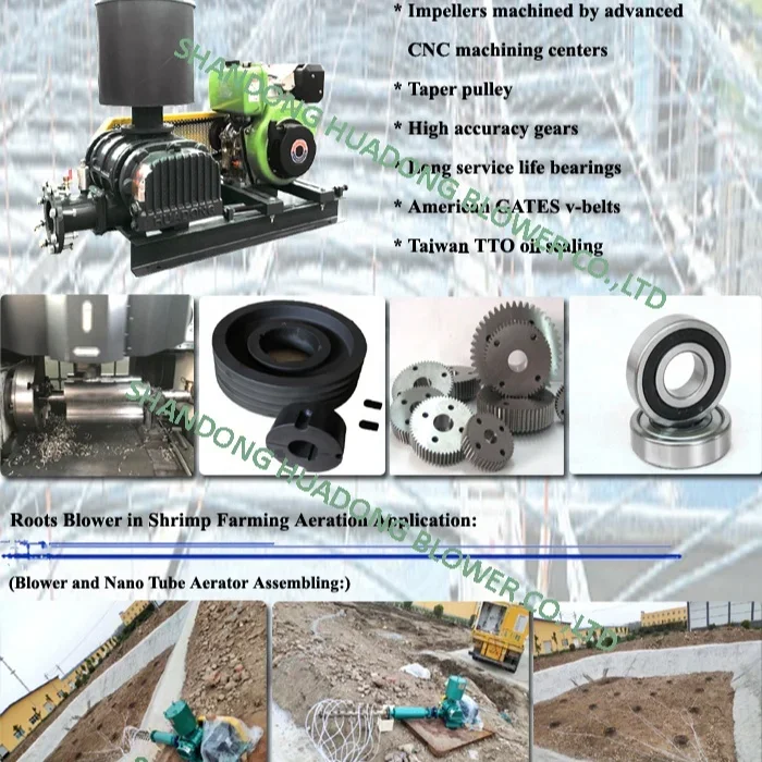 Roots Blower, 10hp, rotary aerator, 2" - detail 2