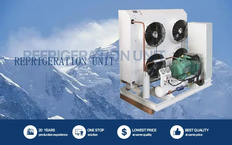 Condensing Unit, R290/380V, Inverter, R454b - detail 2