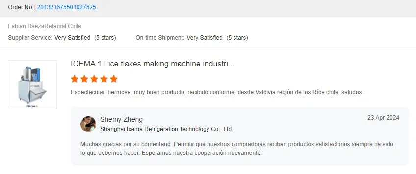 Ice Machine, ICEMA, 500kg, 1ton, 2ton - detail 42