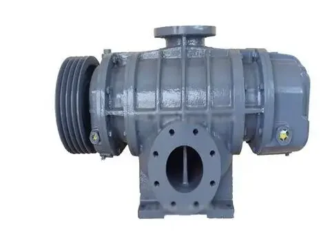 Roots Blower, 30hp, Cast - detail 6