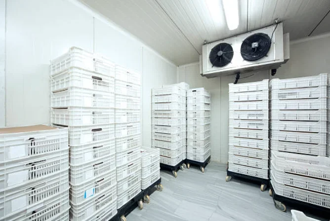 Cold Room Storage, AC 220 V, 500 W - detail 8