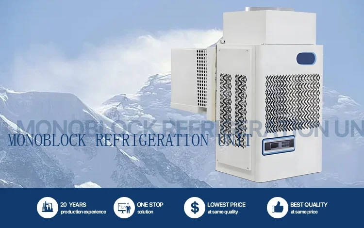 Condensing Unit, Monoblock, 3HP - detail 2