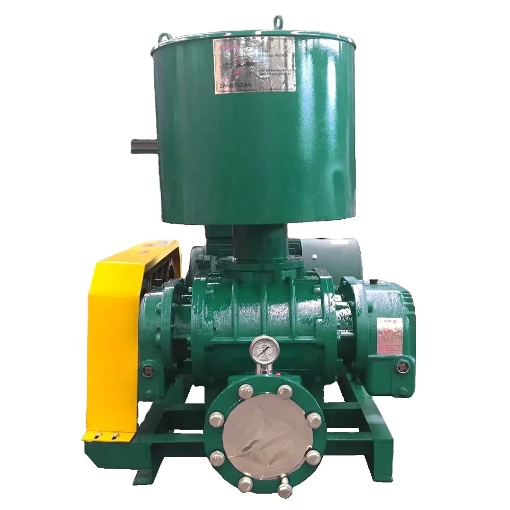 Roots Blower, 10hp, rotary aerator, 2" - detail 30