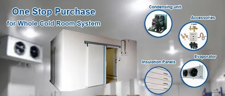 Cold Room Storage, 220V-380V, OPTIONAL - detail 6